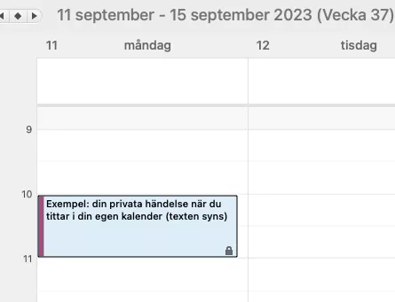 Skärmdump från Outlook kalender: din privata händelse när du tittar i din egen kalender